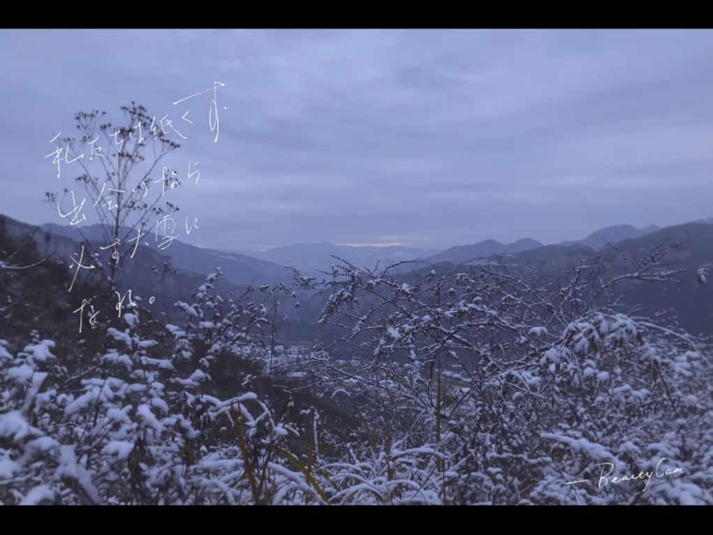 推荐几部小说?- 专业问答网站